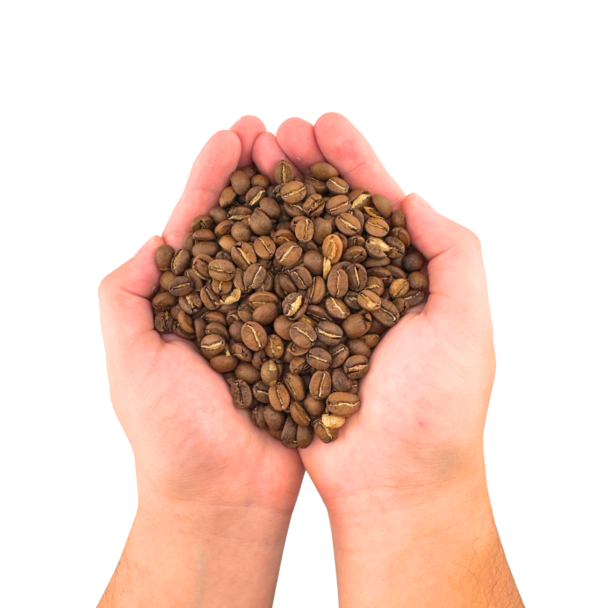 Single Origin Organic Nicaraguan Coffee Beans – Medium Roast – Whole Bean 8oz