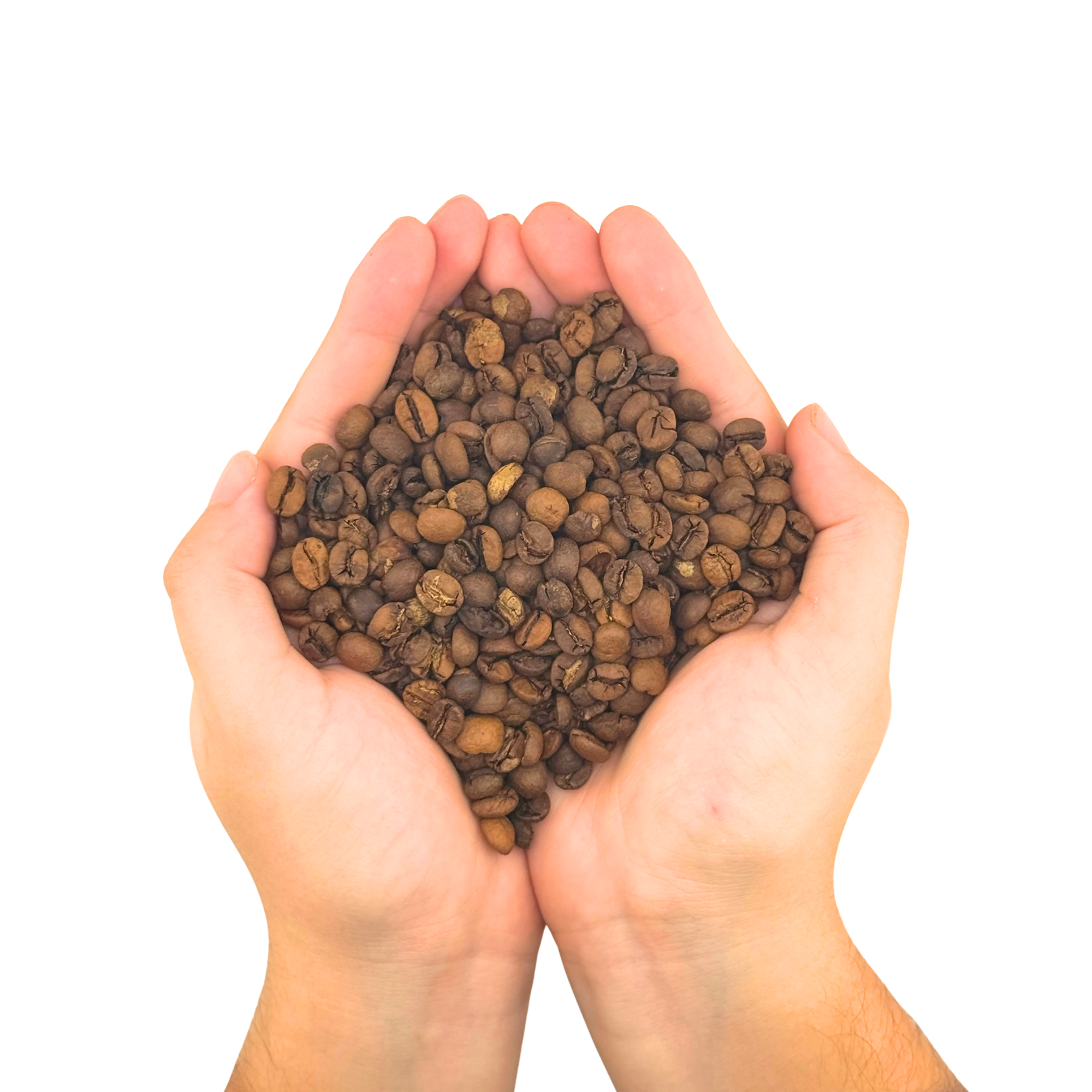 Single Origin Organic Brazilian Coffee Beans – Medium Roast – Whole Bean 8oz