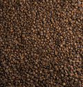 Wholesale Coffee