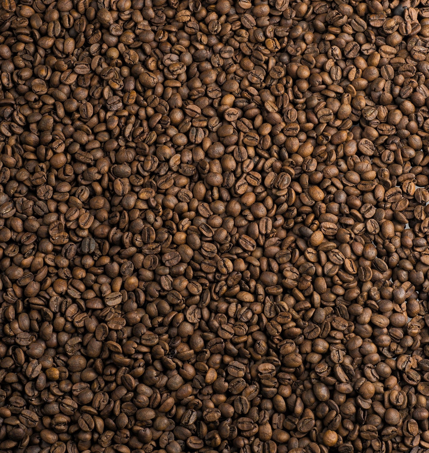 Wholesale Coffee